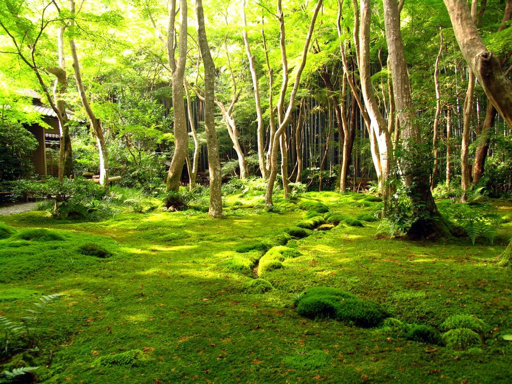 Hotel M'S Est Shijo Karasuma Kyoto Exteriör bild